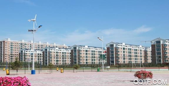 智慧肇州app官方版