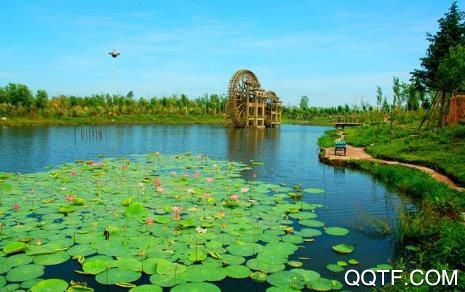 绥棱融媒app安卓版