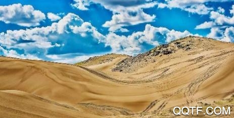 活力翁牛特app官方版