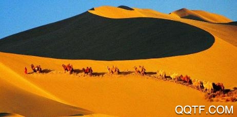 活力翁牛特app官方版