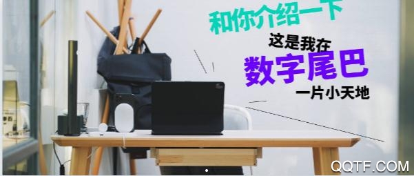 数字尾巴app安卓版