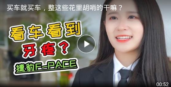 灵猫浏览器app安卓版