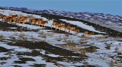 掌上准东app官方版