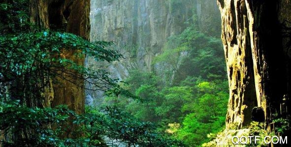 原生态旅游安卓版